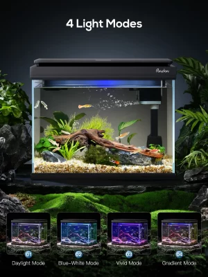 5 gal smart fish tank