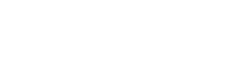 logo-pondon-V2