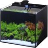 5 gallon elegant fish tank