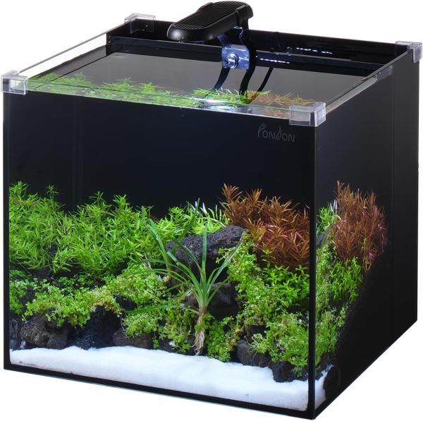 5 gallon elegant fish tank