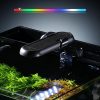 5 Gallon Fish Tank, Low Iron Rimless Glass Aquarium Starter Kits with Backpack Partitioned Filtration, No Installation Required Betta Fish Tank with Leveling Mat for Beginners and Enthusiasts