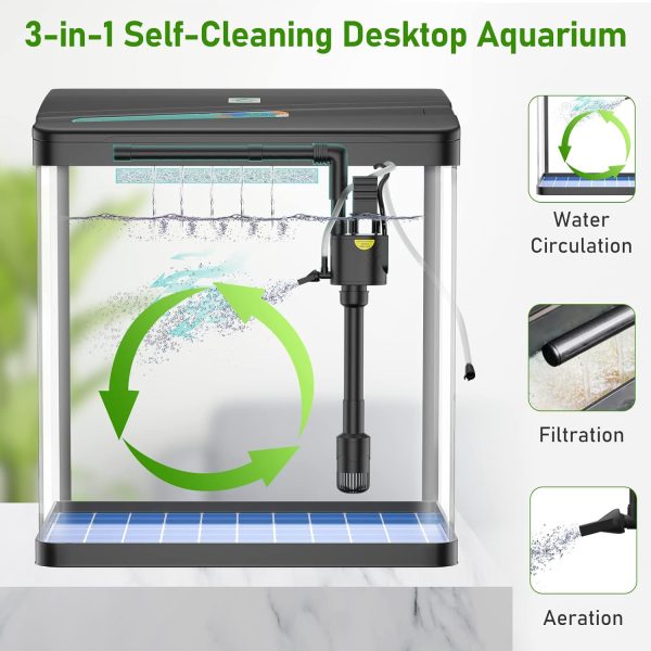Fish Tank, 3 Gallon Glass Aquarium, 3 in 1 Fish Tank with Filter and Light, Desktop Small Fish Tank for Betta Fish, Shrimp, Goldfish (Black, 3Gallon)
