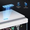 5 Gallon Fish Tank, Low Iron Glass Aquarium Starter Kits with Temperature Digital Display, Betta Fish Tank with No Installation for Beginners and Enthusiasts（White）