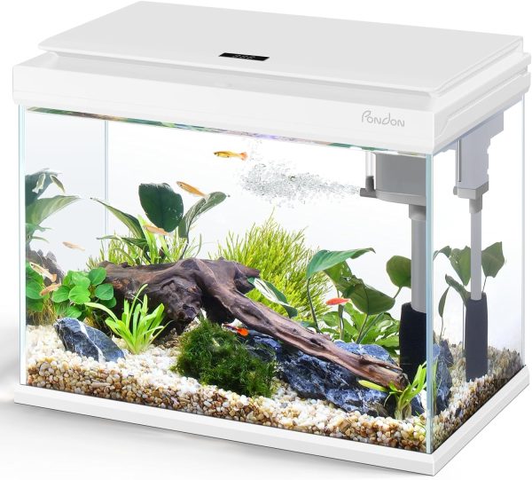 5 Gallon Digital Display fish tank
