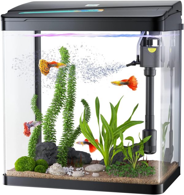 3 in 1 Fish Tank with Filter and Light