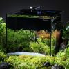 5 Gallon Fish Tank, Low Iron Rimless Glass Aquarium Starter Kits with Backpack Partitioned Filtration, No Installation Required Betta Fish Tank with Leveling Mat for Beginners and Enthusiasts