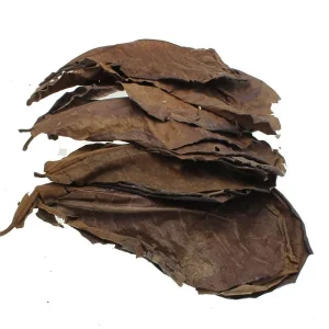 Terminalia Leaves dry type